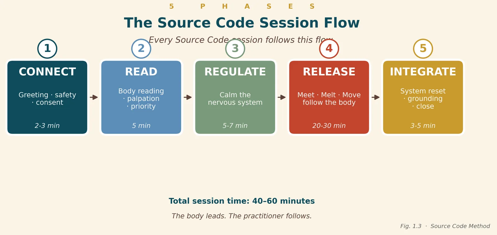 Session flow: connect, read, regulate, release, integrate